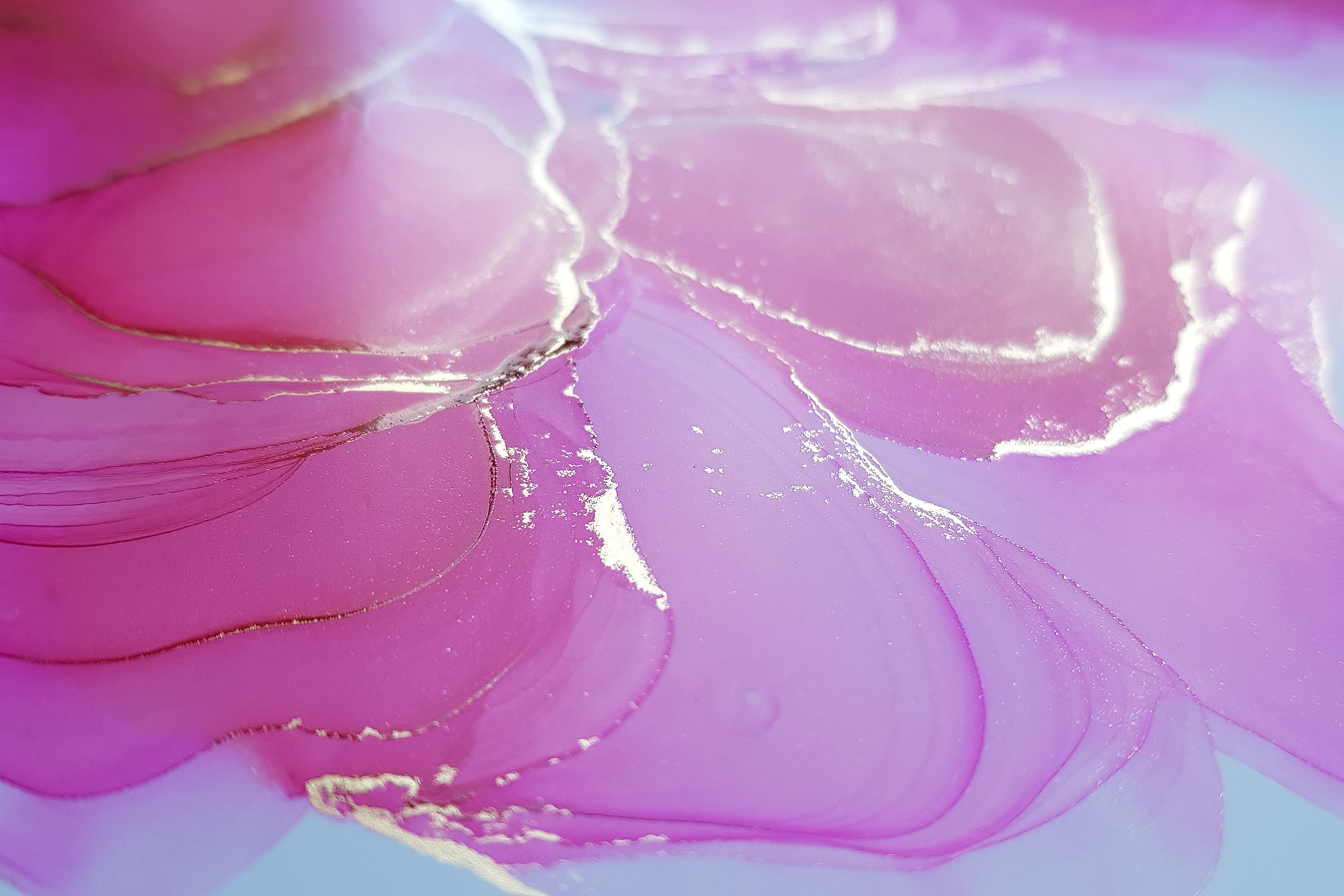 Katalin Abstract Art