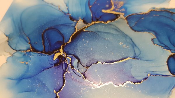 Morning Glory Mini I.